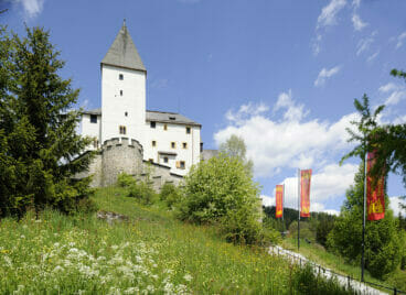 Burg Mauterndorf