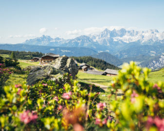 Fageralm Landschaft 1 of 15