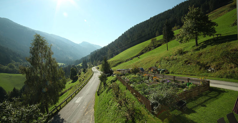 Blick in den wunderschönen Forstau-Winkl