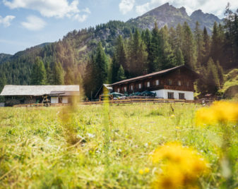 © Tourismusverband Forstau/geraldgrünwald