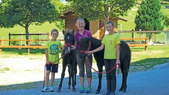 Kinder mit Pony's