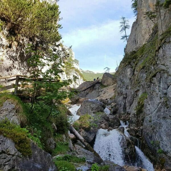 forstau silberkarklamm