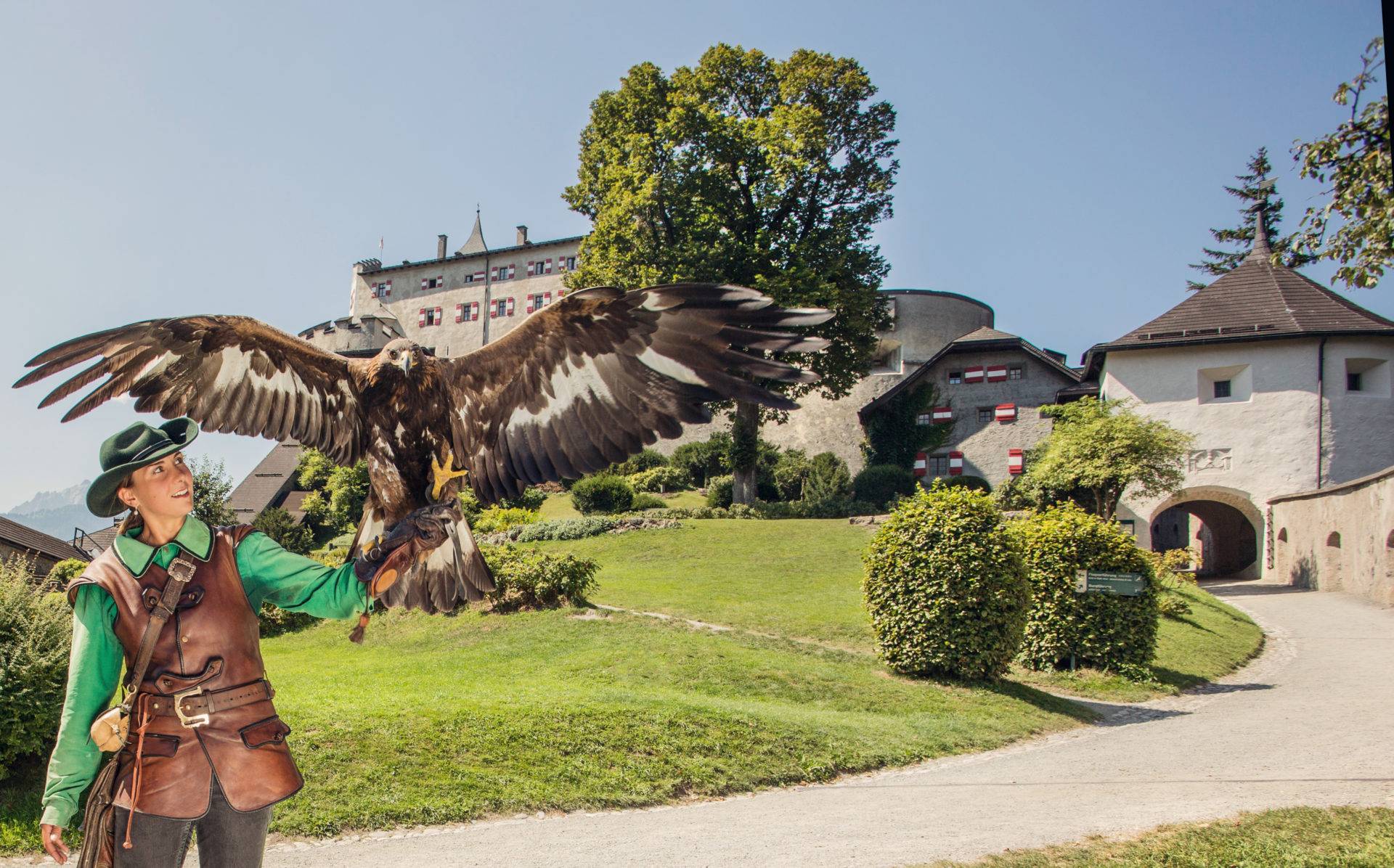 burg hohenwerfen greifvogelschau