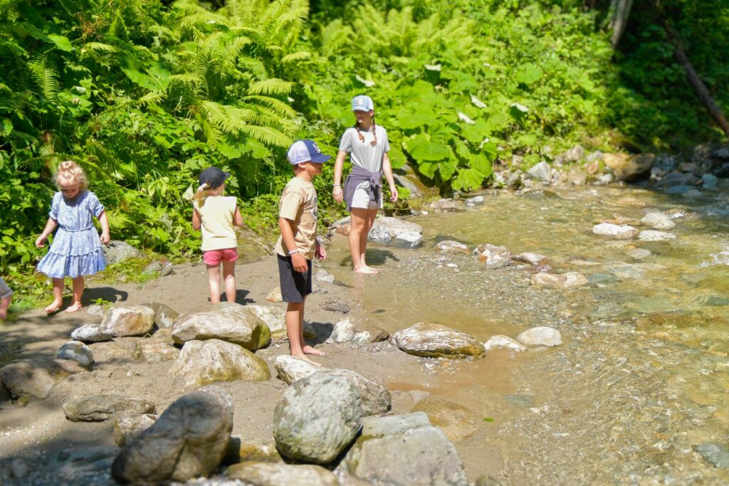tvb forstau sommer9